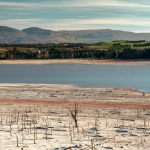 unnamed-12-1-e1584954039210