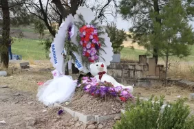 66df193237446c241540b401