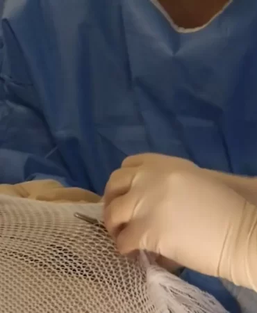 1920x1080_cmsv2_0ad9d448-0161-5834-bde1-44a800d4670c-8625320