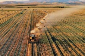 6749de02534a254e2cc68fca-OhxrVv