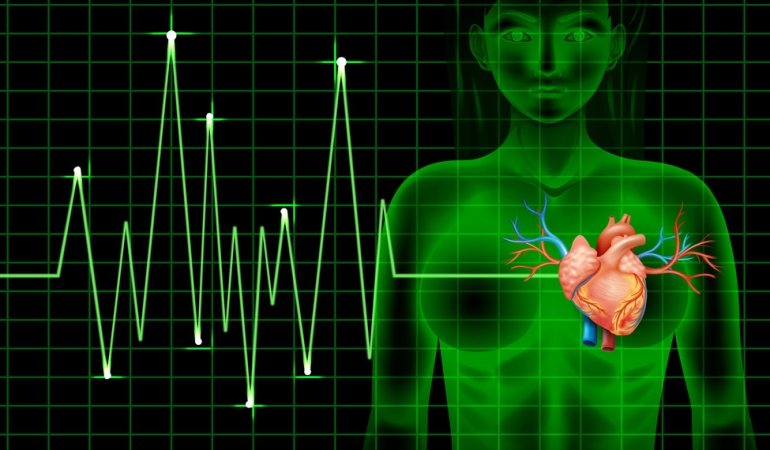 heartbeat-of-human-and-graph-vector-6076692