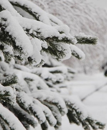 kara-kis-erken-geliyor-tarih-verildi-kisliklari-cikarin-1