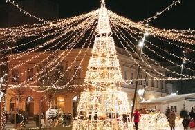 pexels-photo-29934643