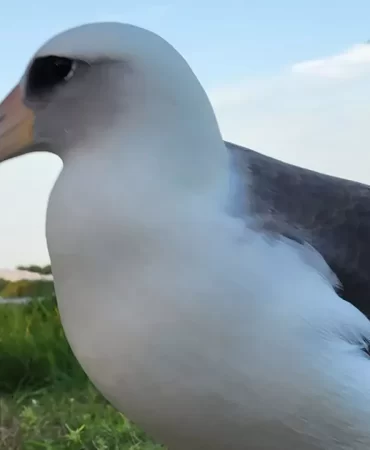 1920x1080_cmsv2_1e0bb070-e523-54f9-9d0b-6548b2f3d6ac-8895104