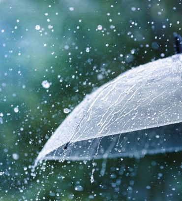 istockphoto-1257951336-612x612