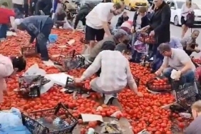 domates1jpg-GiX2RyMykUmeBPKPZJOKyg