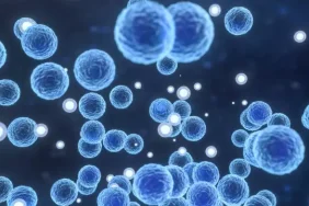 yunanistan-da-olumcul-strep-a-bakterisi-nedeniyle-18670729_3242_m