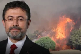 886jpg-vOt3fZ-gEkaTCbEBPX19QQ