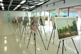 bu-fotograf-sergisi-ormanyada-gorsel-solen-sunuyor-1