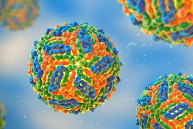 bati-nil-80-2-92539-web-image-b