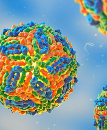 bati-nil-80-2-92539-web-image-b