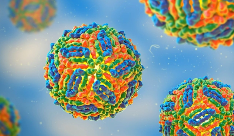 bati-nil-80-2-92539-web-image-b