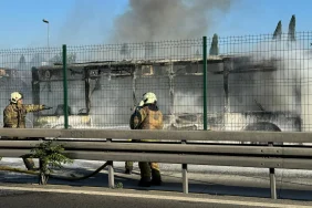 whatsapp-image-20250707-at-184511jpeg-xMAKufYc1UeJjpnjOFm3Zg