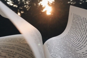 507d6b86edb79e430011f51c642bdf9f