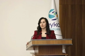 545002888-1204159638393544-8501432713543482832-n