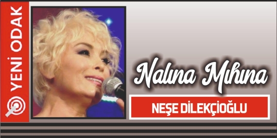 TRT SANATÇISI, NEŞE DİLİEKÇİOĞLU’NUN KALEMİNDEN… MİSAFİR ODALARININ YANLIZLIĞI