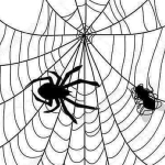 1673284124837-haluk-sahin-1