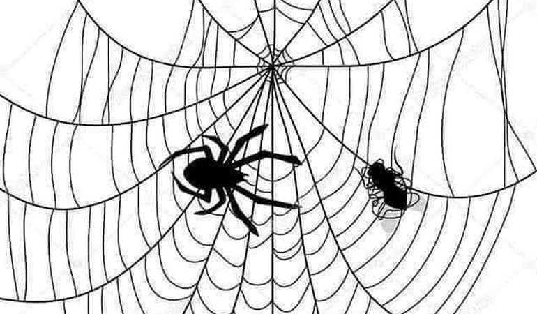 1673284124837-haluk-sahin-1