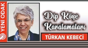 IMG-20260303-WA0030-300x155